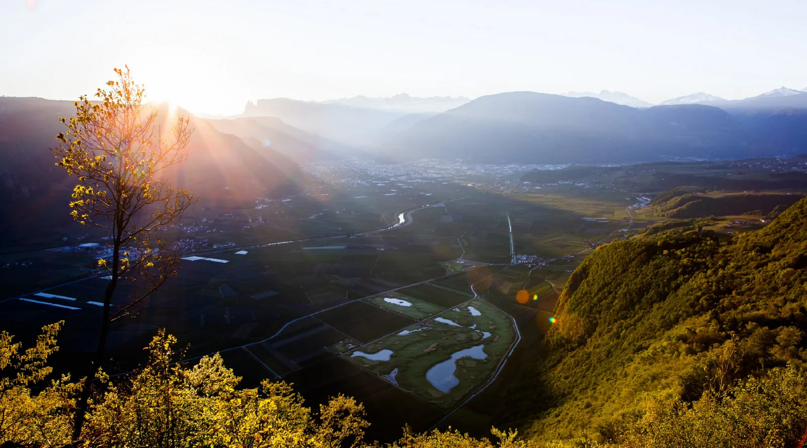 MG_5599-1